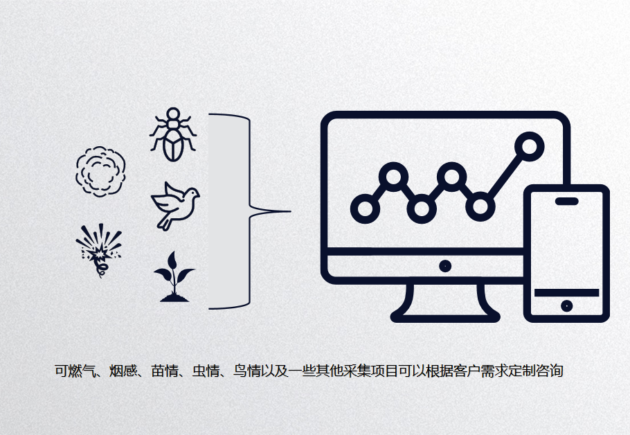 定制传感器系列